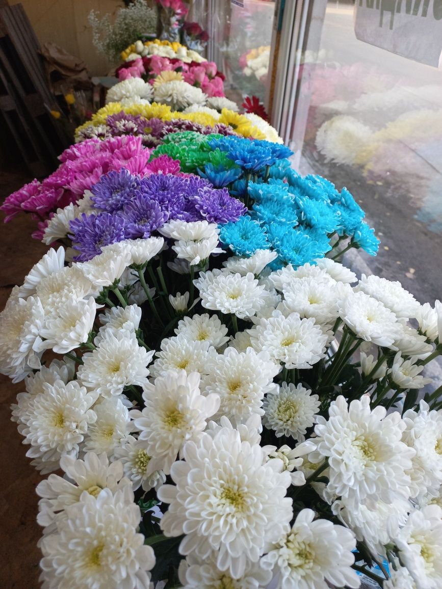 Доставка цветов Семей Гулдер