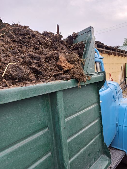 Навоз свежий недорого с доставкой на дом