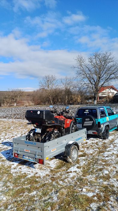 Vand Linhai Anniversary 300 4x4
