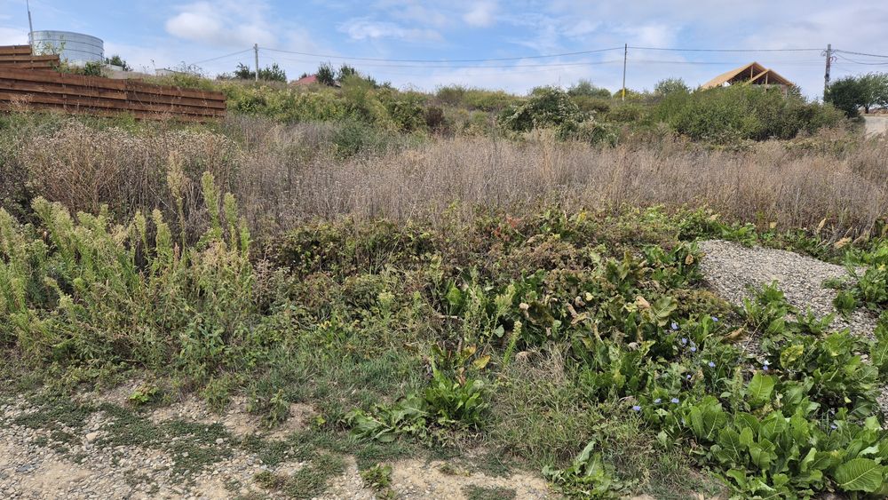 Teren Hlincea / 418 mp