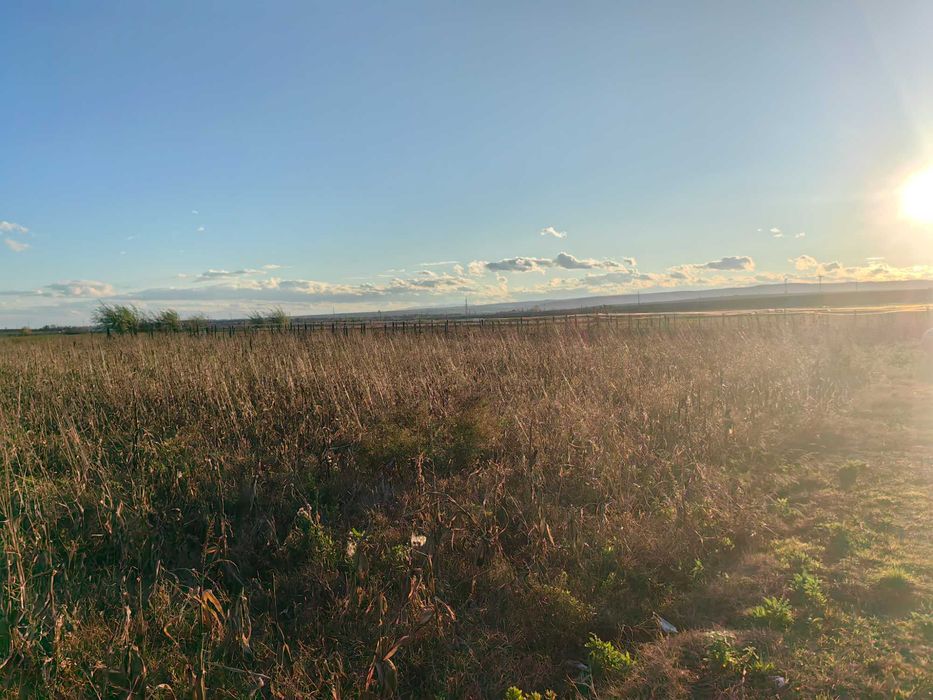 Teren intravilan (loc de casa)