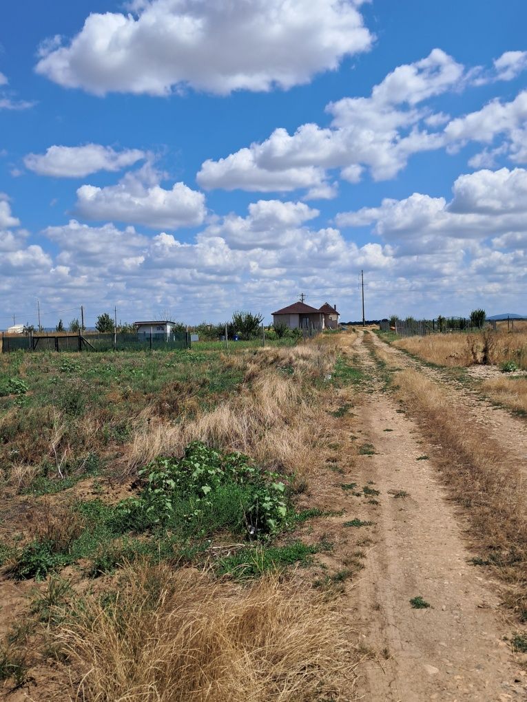Vând 2 ha teren parcelabil Livada de Bihor