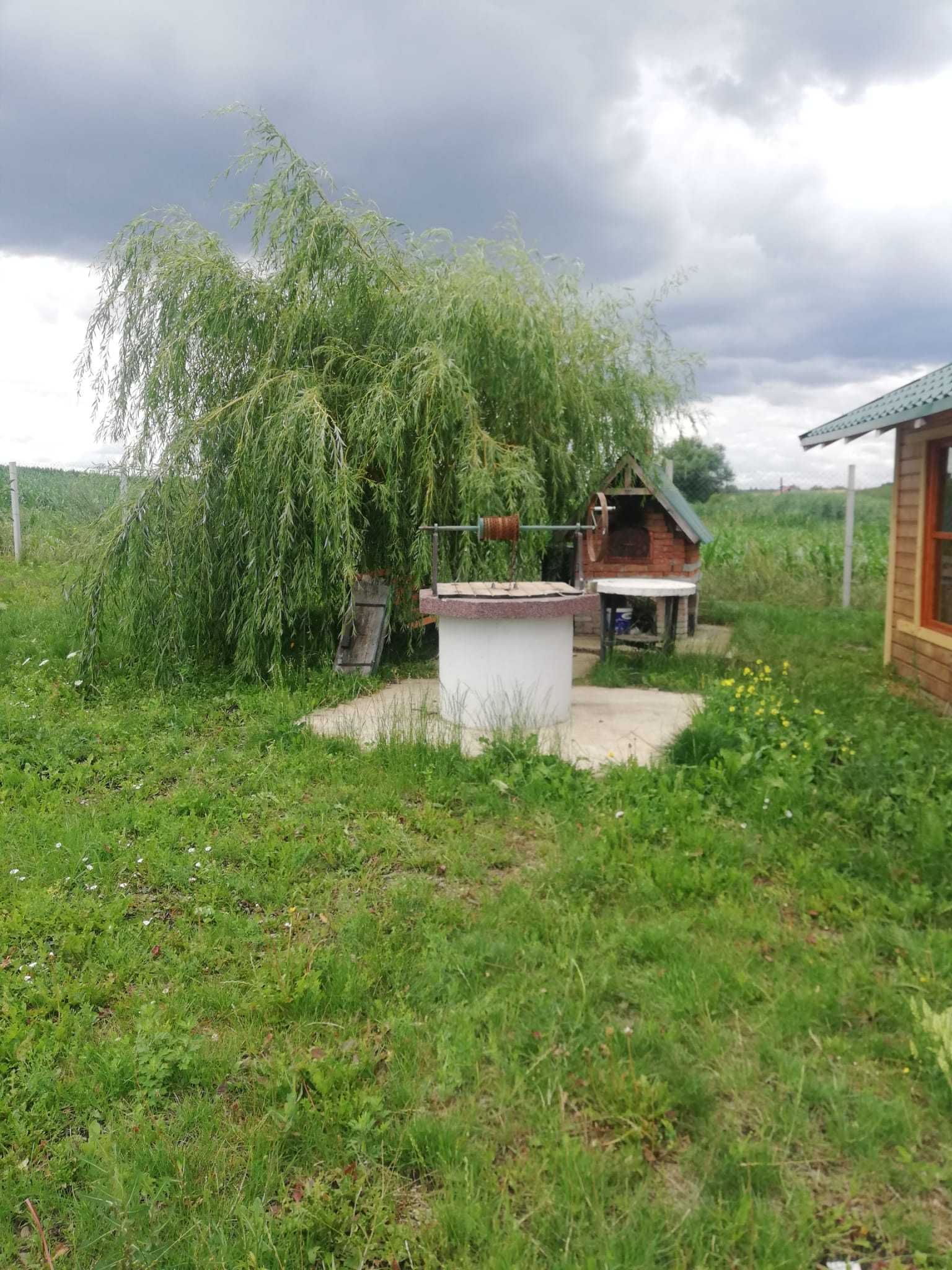 Vand teren cu livada Trei Movile, Scheia