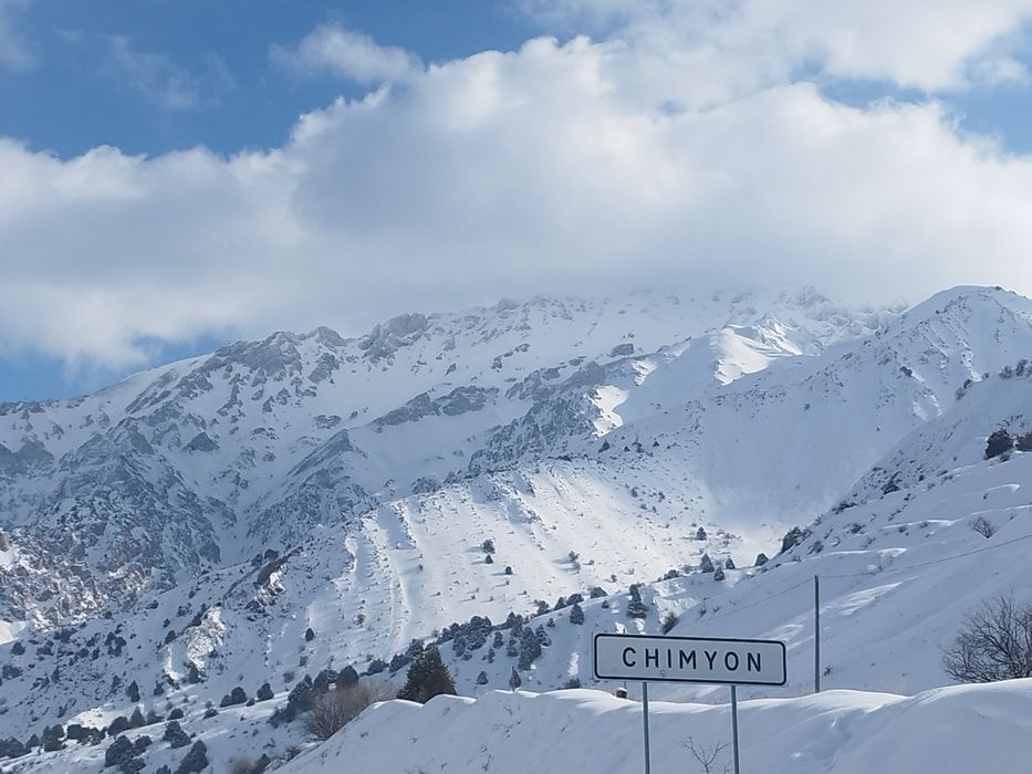 Дача Сотилади Чимганда Лайнер ёнида