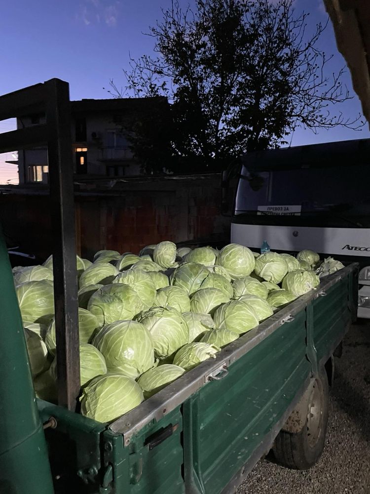 Продавам зеле от производител
