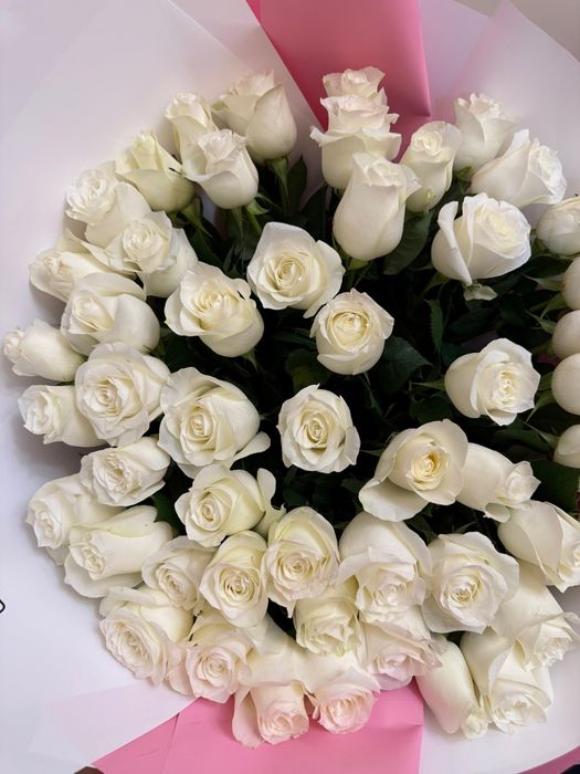 Белая метровая роза