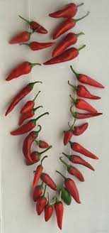 Ardei iuți uscați(deshidratați), 100%uscati natural,fara conservanți