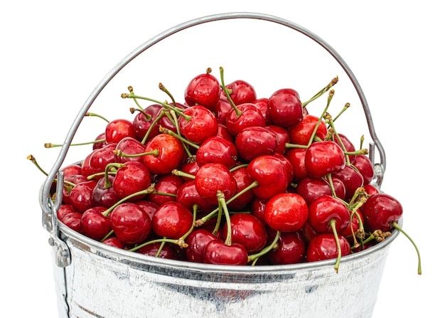 Продам вишню ведрами