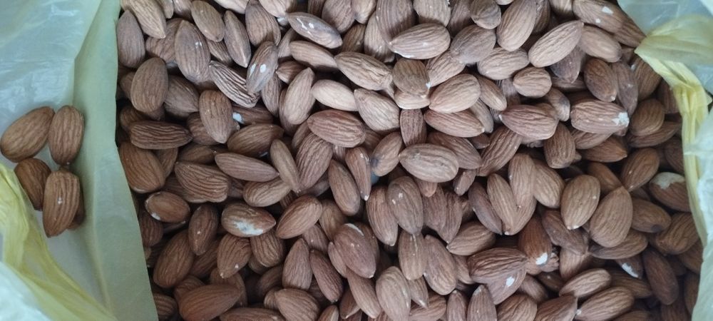 Продам миндаль свежий