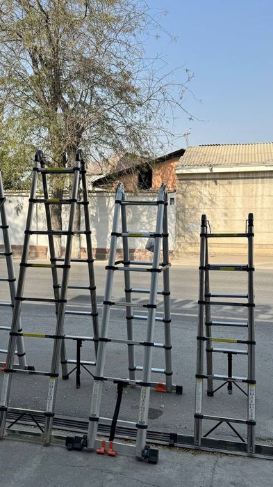 Narvon (леснитсы)