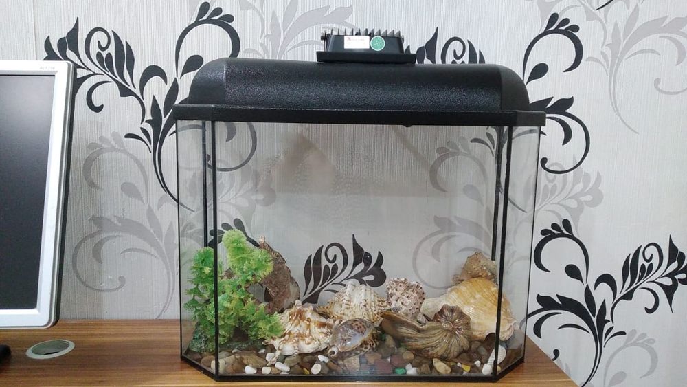 Продам аквариумы