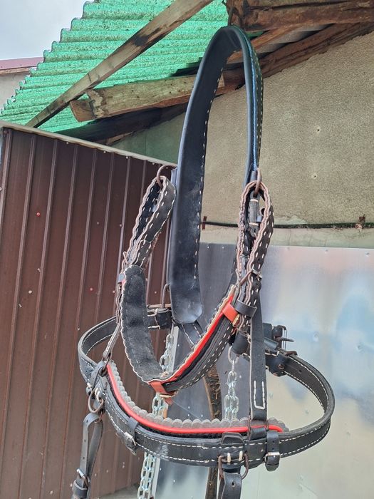 Vând ham căpătat și gatar