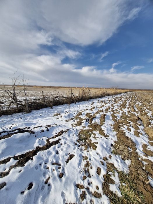 Продам фазенду 3 га