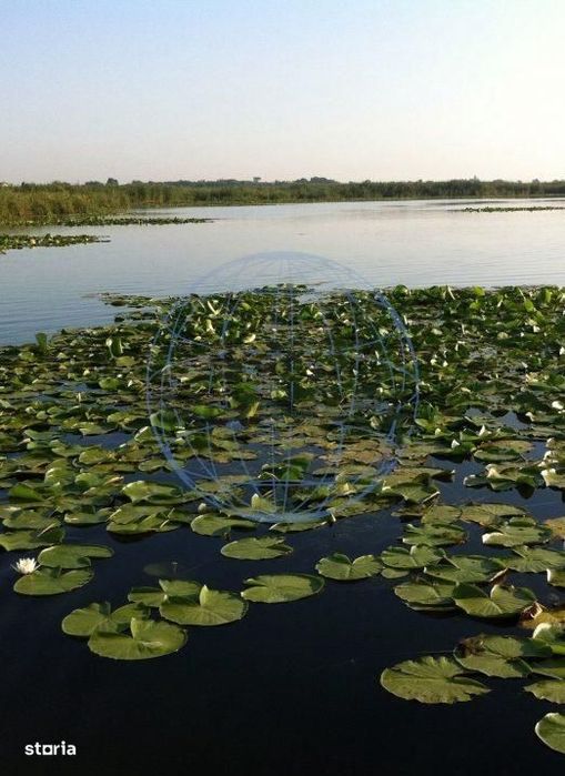 Snagov Lac  vanzare Loturi Teren