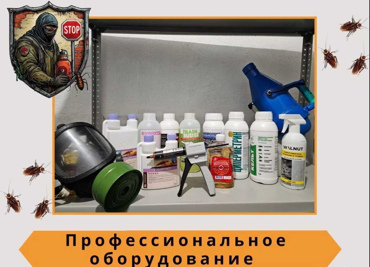 Дезинфекция Dezinfeksiya клопов клоп клапа klop klapa tarakan burga
