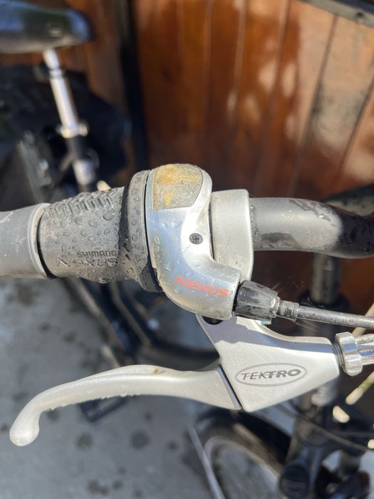 Bicicleta Pegasus Oras