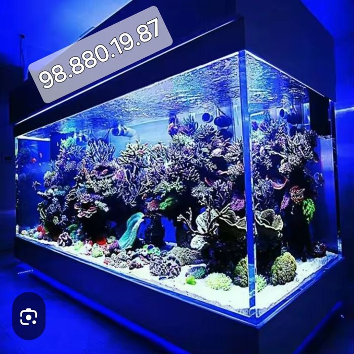 Акварим ясаш хизмати