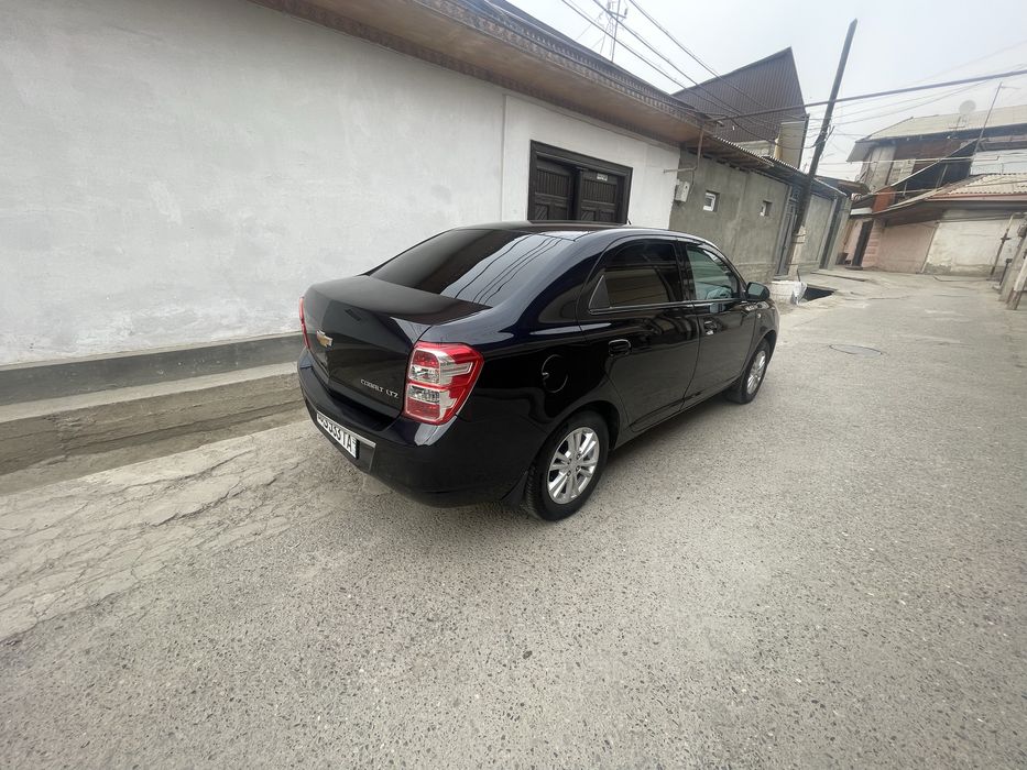 Кобальт 2023/2024