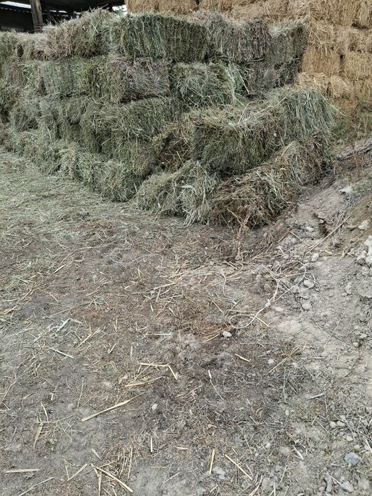 Продам разнотравия в перемешку с люцерной