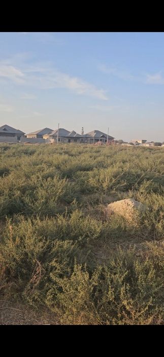 Жетісай қаласында ЖЕР сатылады