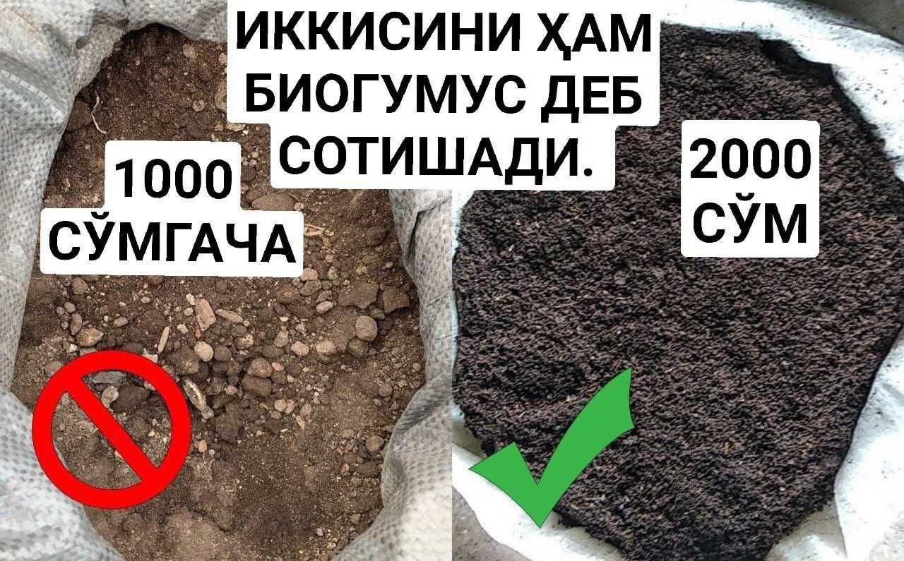 Biogumus Oliy Nav