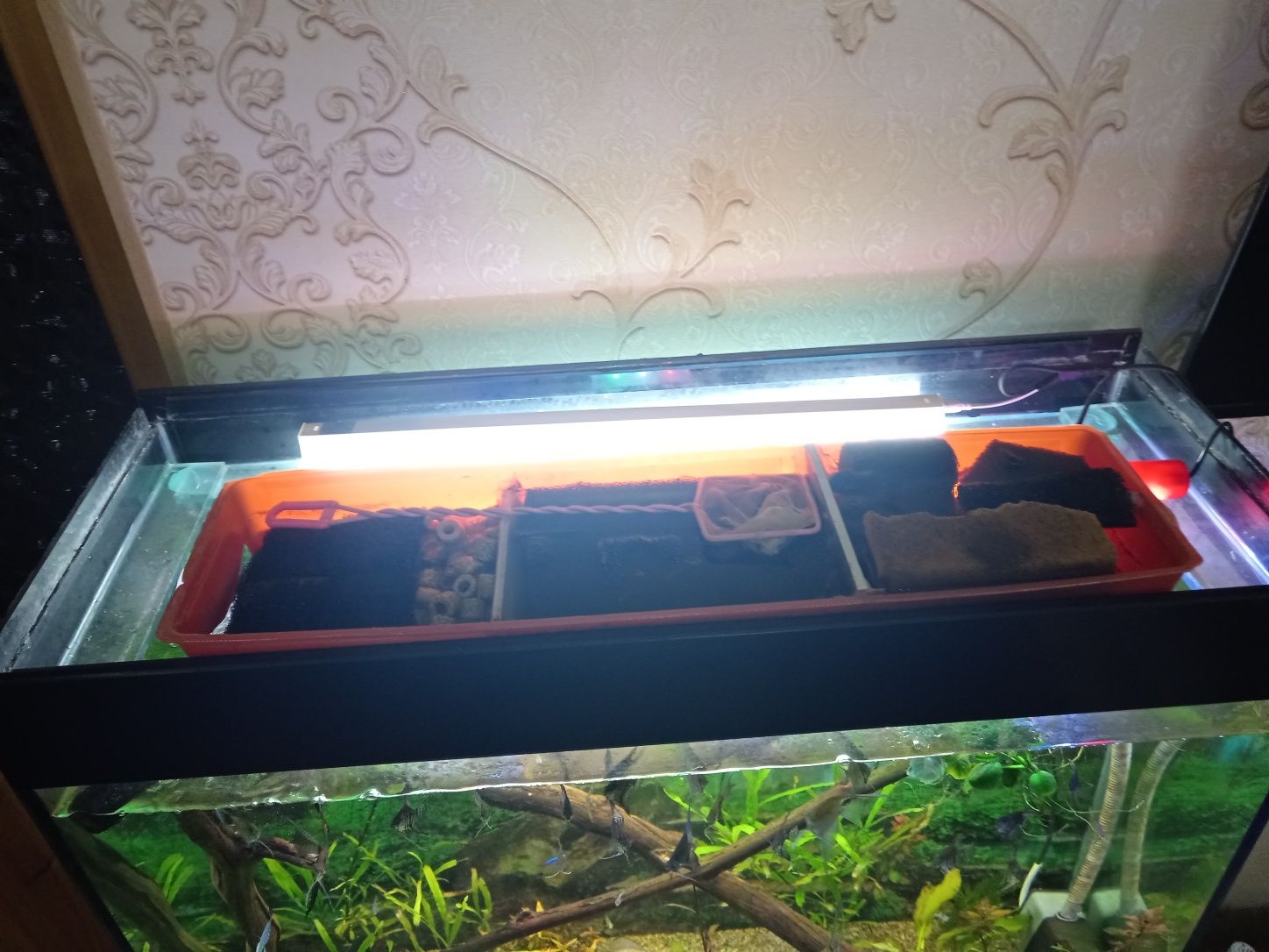 Akvarium podstavkasi bilan sampli 200litr