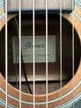 Ghitara i electro acustica banez