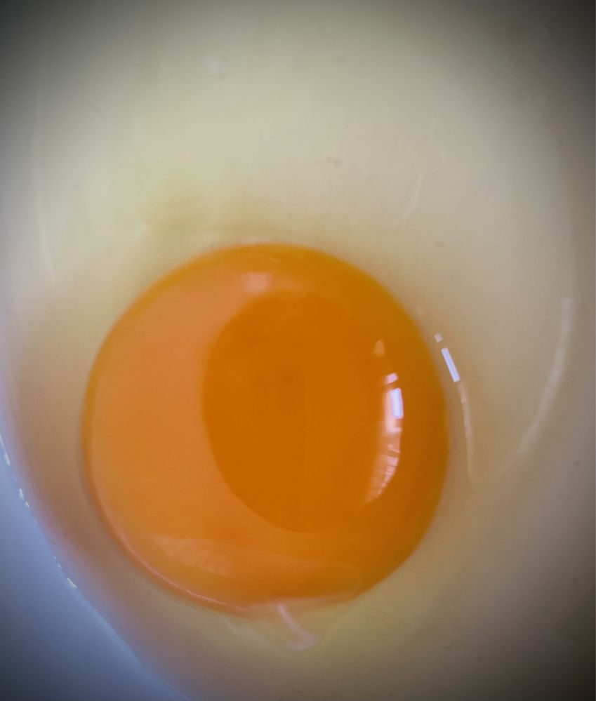 Oua pentru incubat - Australorp