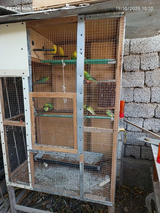 Tortilar sotiladi qafasi bilan