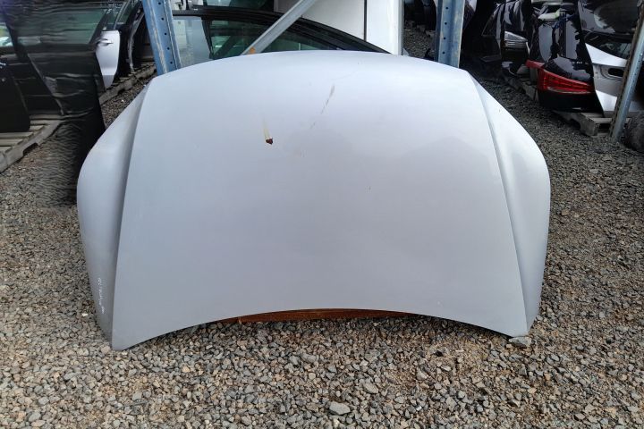 Capota motor Volkswagen VW Tiguan 1 5N [2007 - 2011] Crossover 2.0 TD