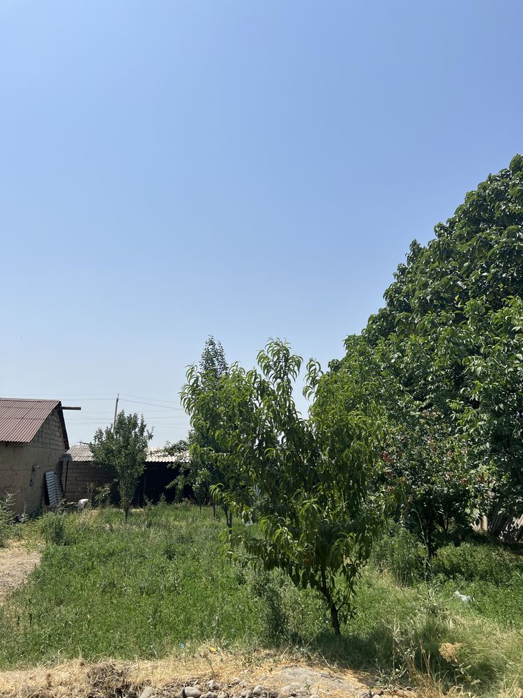 Продам дачный участок, в р-н племсовхоза…