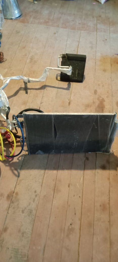 Kandisaner Kaptiva malibga kobtga neksiya jentra kandisaner bor