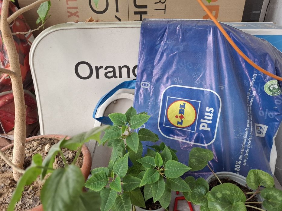 Vand pachet decodoare hd orange+antena