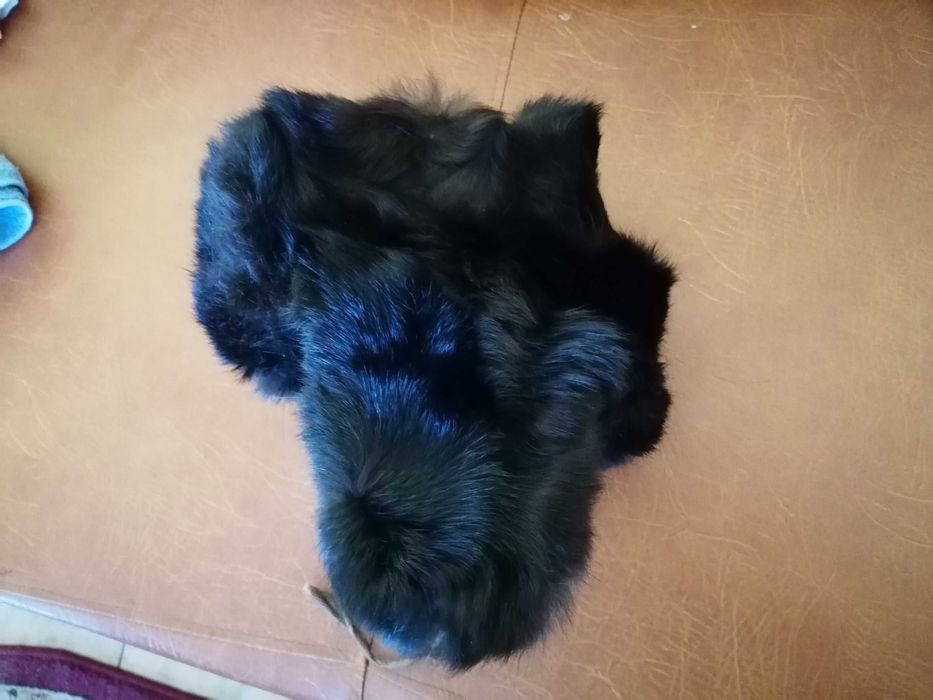 Vand Caciula Rusească