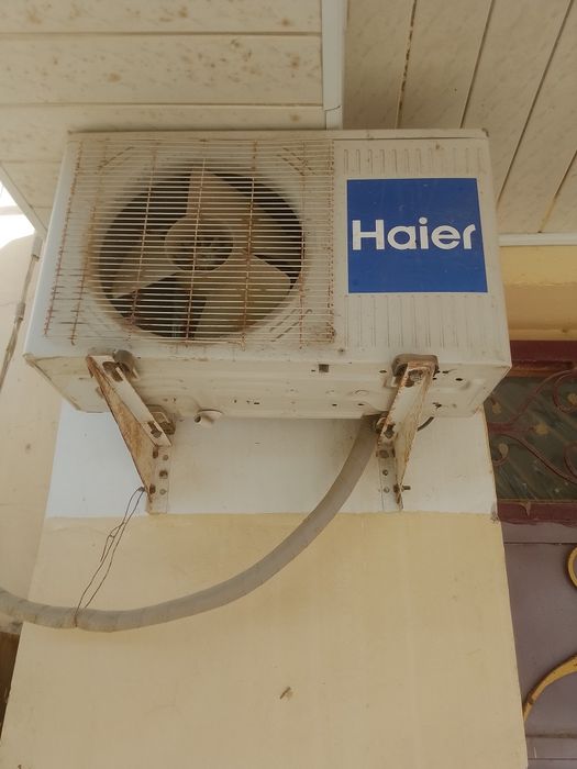 Kannisaner yengi .kelishamiz