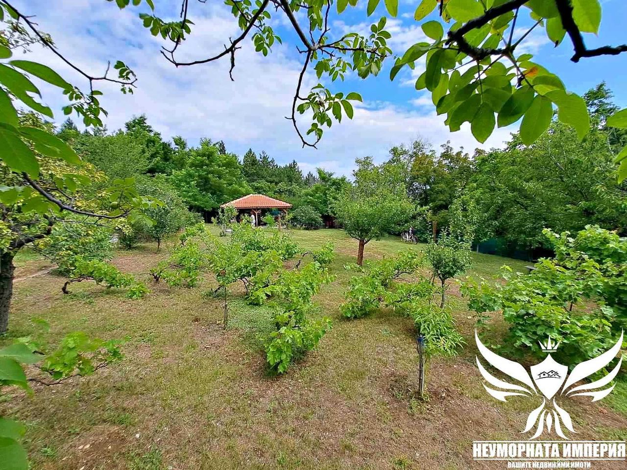 Продава се Парцел в Асеновград - 1000 кв.м за 55 €/кв.м - Снимка #17