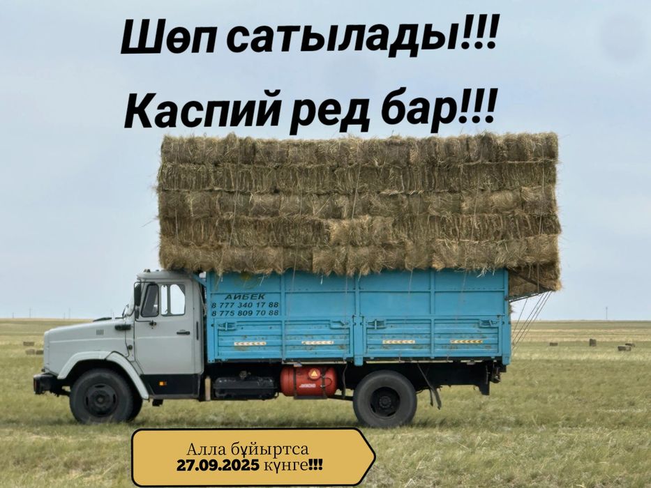 Сено! Шөп сатылады! 900тг