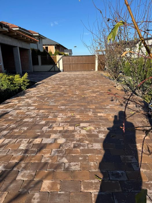 Montaj pavaj si reparati