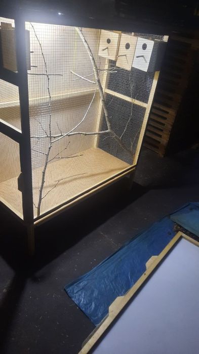 Qushlar tayyor uyi bilan sotiladi.