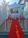 Inchiriem cort corturi evenimente/decor floral/logistica evenimente/