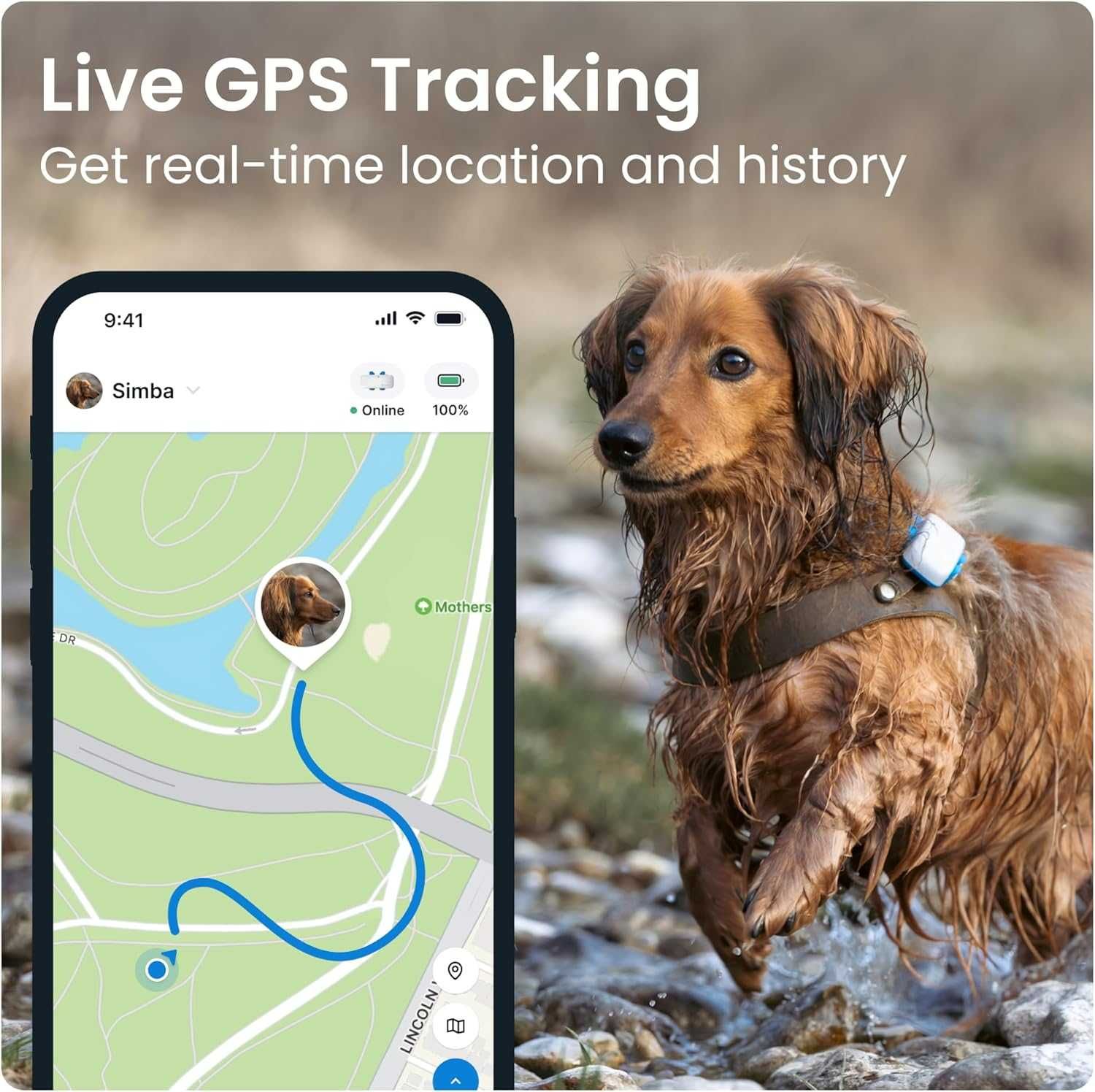 Tractive GPS Tracker & Здравен мониторинг за кучета