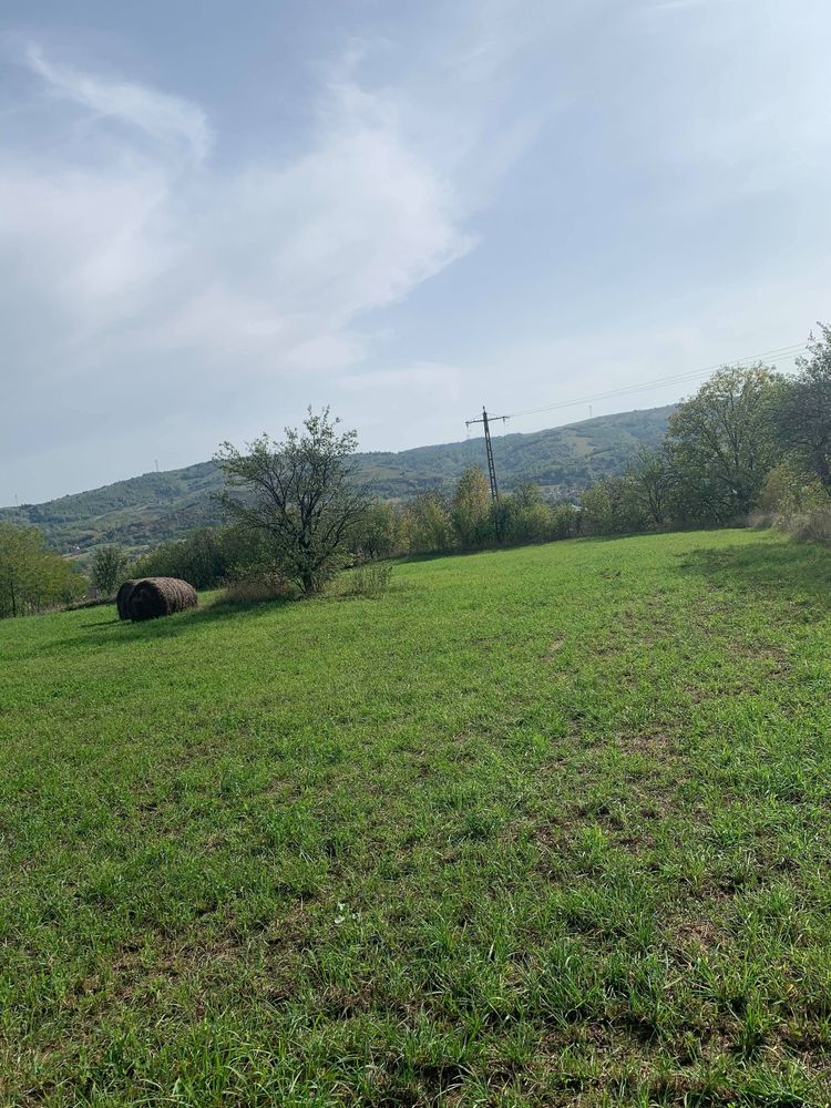 De vanzare teren intravilan 5160 mp - Bogdanesti