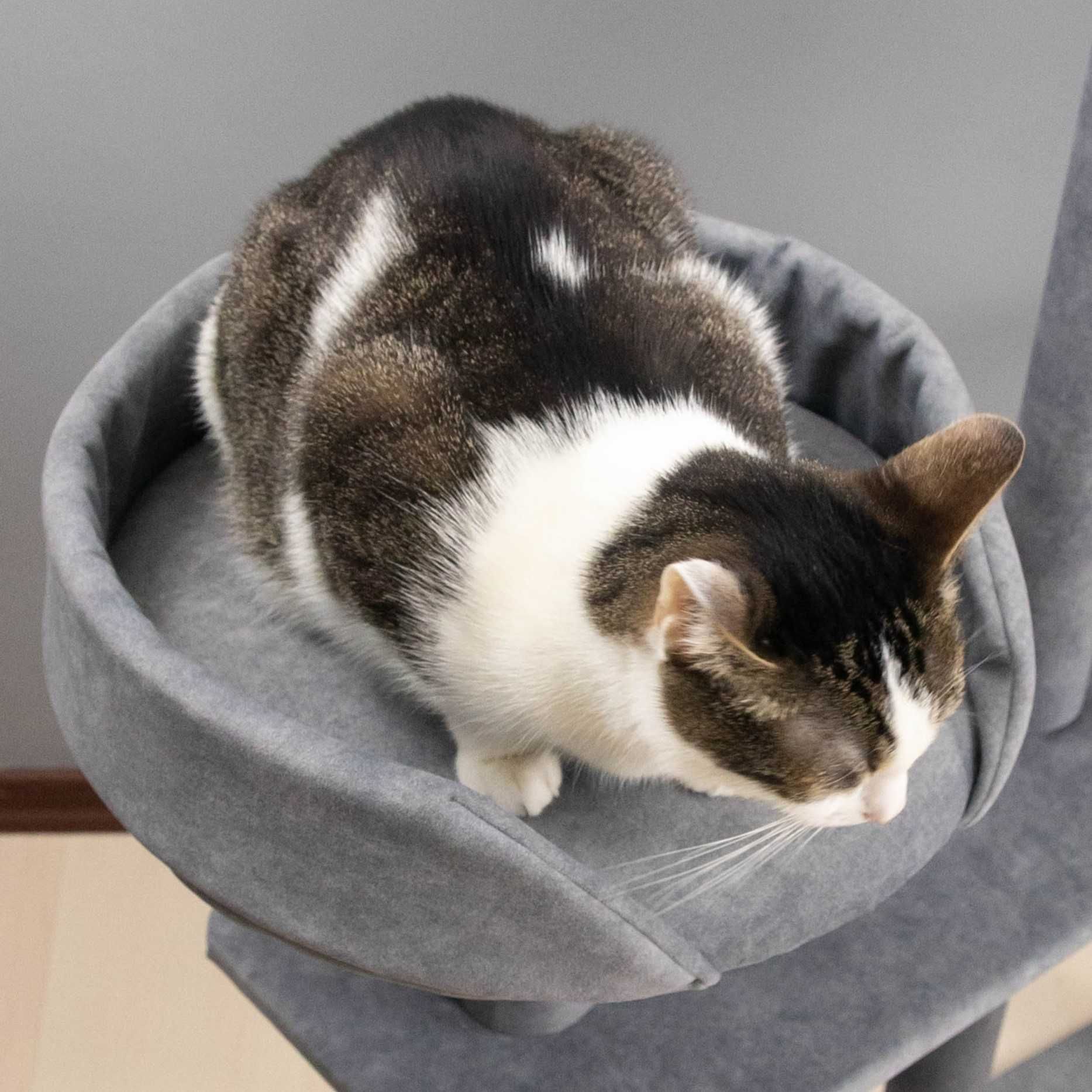 Ansamblu Joaca Pisici, Casuta Pisica, Sisal-Diferite Culori 115 cm