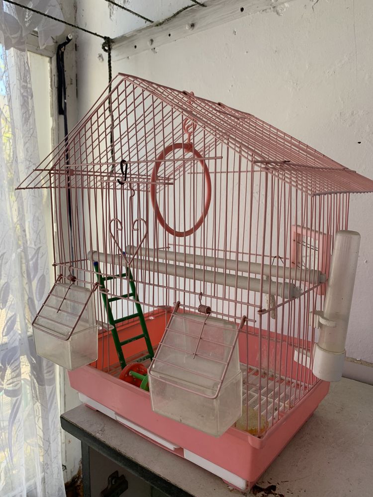 Клетка, дом для попугая