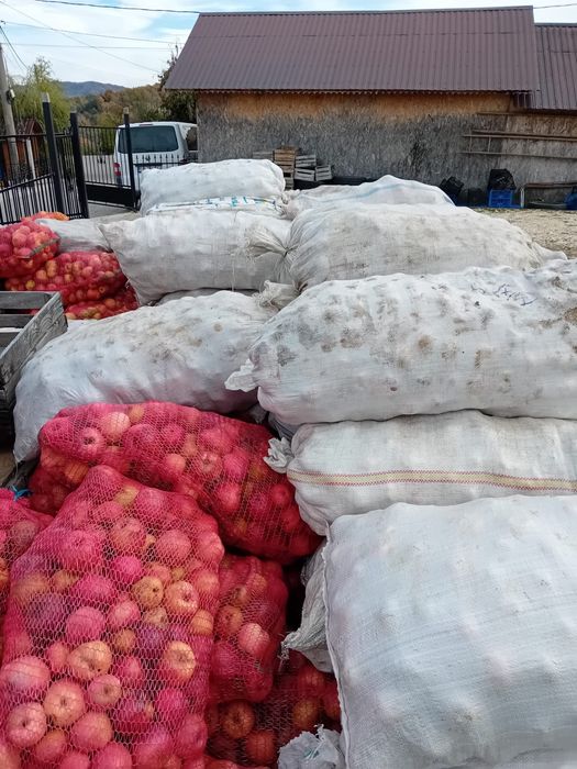 Mere suc/țuica 1 leu/kg disponibil 3300 Kg