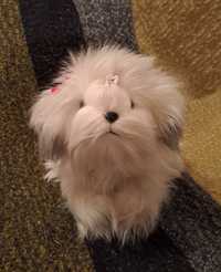 Нова голяма играчка бяло космато кученце Коледен подарък за дете
