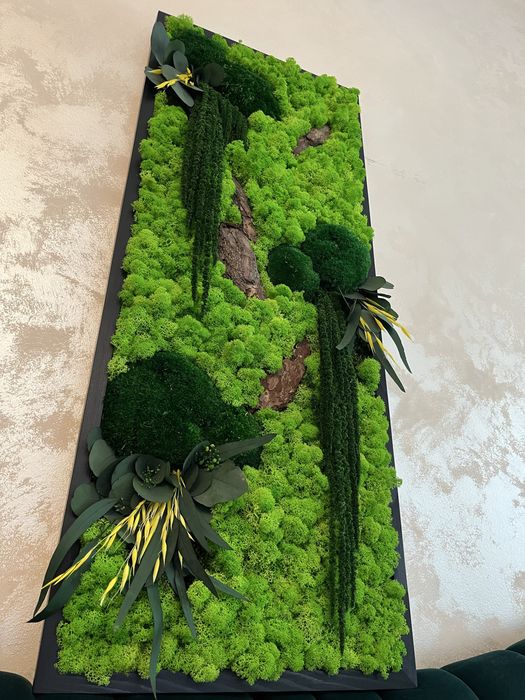 Tablouri cu plante naturale stabilizate,licheni , muschi