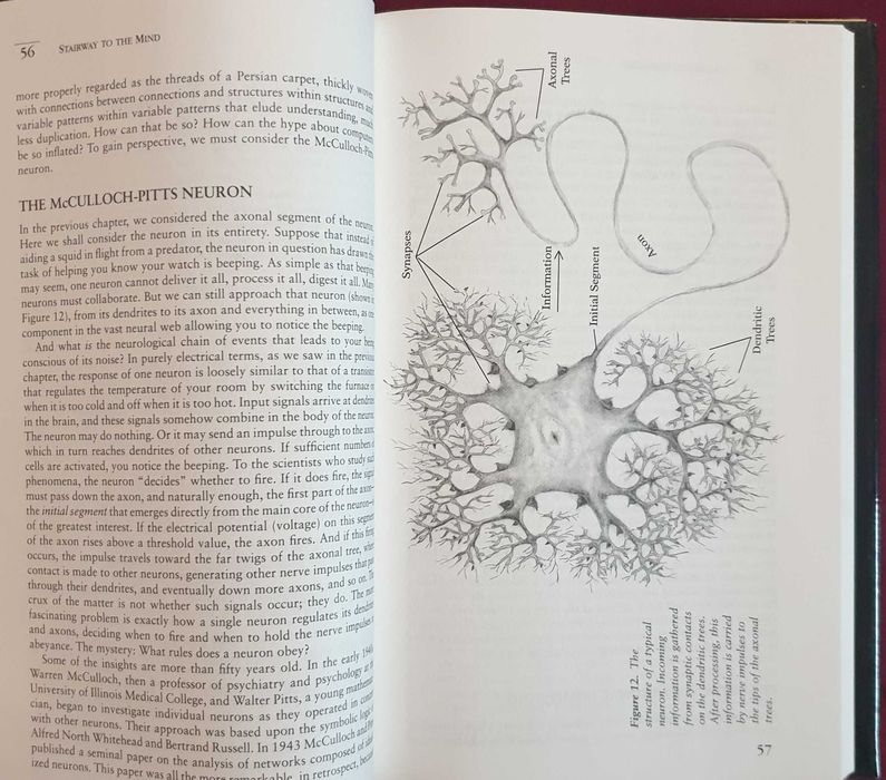 Stairway to the Mind. The Controversial New Science of Consciousness