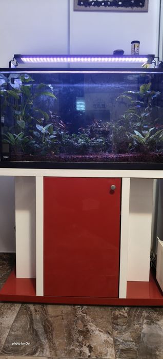 Acvariu complet cu accesorii