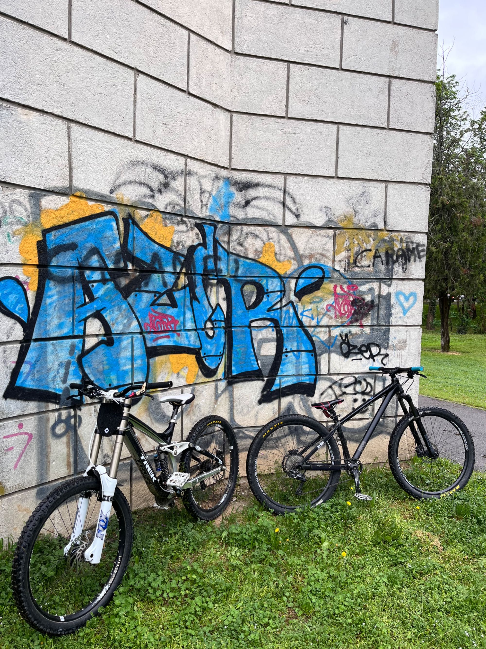 Trek session 8.8 2009